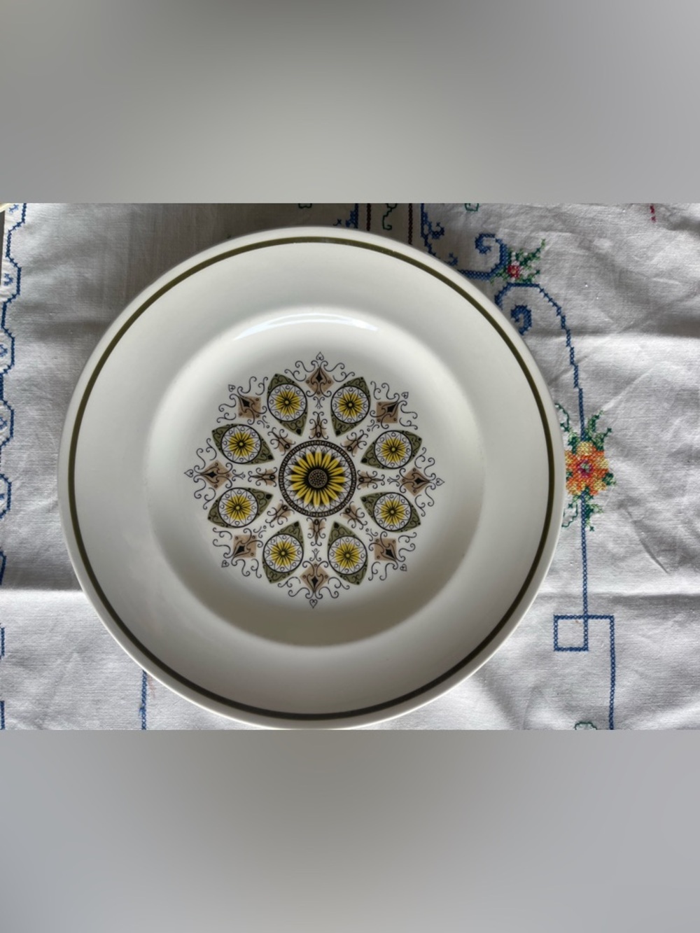 Vintage Retro Swinnertons Ironstone 1960’s 10” Dinner Plate